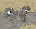 Two muddy tomboys 2 by mucky