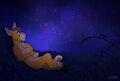 Calm Under The Stars by lionkinguard