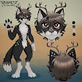 Character Sheet by Maankun