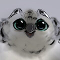 Hoot Hoot