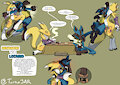 [Commission] Renamon vs Lucario by TurkoJAR