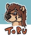 FurDU Badge 2013