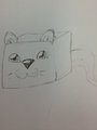 Tofu otter