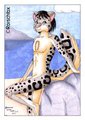 Aiden (snow leopard)