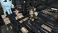 Chase follower mod showcase (Skyrim Special Edition) by Mkgoro112