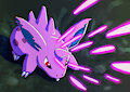 Nidoran by newdlz