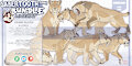 LINEART BUNDLE by NorthernRed