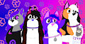 International Cat Day 2026 (Late)