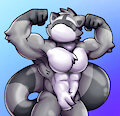 Raccoon (Changed)