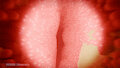 The Ass &mdash; Ep. 03: Food 5 GIF by Monarquis