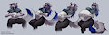 Preg sequence