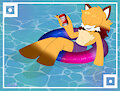 Summer Fun by HedgeWolf23