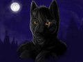 Kemosabe Gift by Eclypse