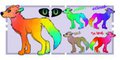 New Adopt Rainbow pup