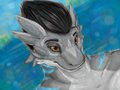 Shiuk Gift by Eclypse