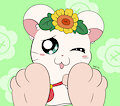 Sole-ara (Hamtaro) by YarnFeathers