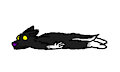 *Flop*
