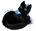 Midnight by Sugarnova