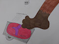 Sandal step on the gas pedal by Rockyon2066