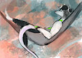 Hammock