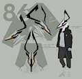 86 Concept