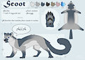 Scoot