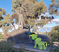 In memory of Peter Brock by Didgeree