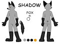 Shadow Reference Sheet by ShadowFox12