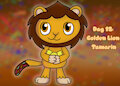 Candy Animals Day 12: Golden Lion Tamarin