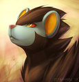 Luxray by ZetaHaru