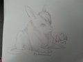 Dante as a feral cub by LupusDaemon