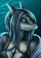 Shark Eyes