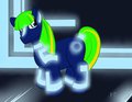 Sark  the tron pony  by Aislinn