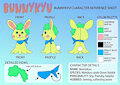 my oc bunnykyu referance sheet by reesechu