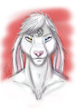 Headshot - Scheknul