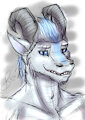 Headshot - Vloor