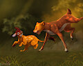 Simba and Bambi by Shyryp