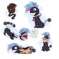 Chomp Dog Practice by TrevorFox