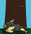 Sleepy Shade