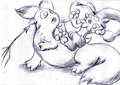 Poke vs Pald 1