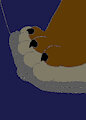 Footsie