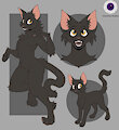 Black Cat Adopt-OPEN by ChaosEye