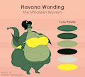Havana Wonding Reference