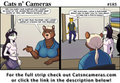 Cats n Cameras Strip #183 "Hello new friend!"