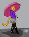 Rainy day