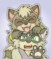 Raccoon friends!