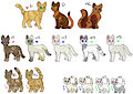Warrior Clan Adopt [OPEN] by Werewolfbusiness