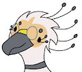Goober Nii Bird