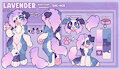 Lavendar ref sheet! by FloofyIsAFloof