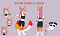 Snow's reference sheet by SerinaSilenciel